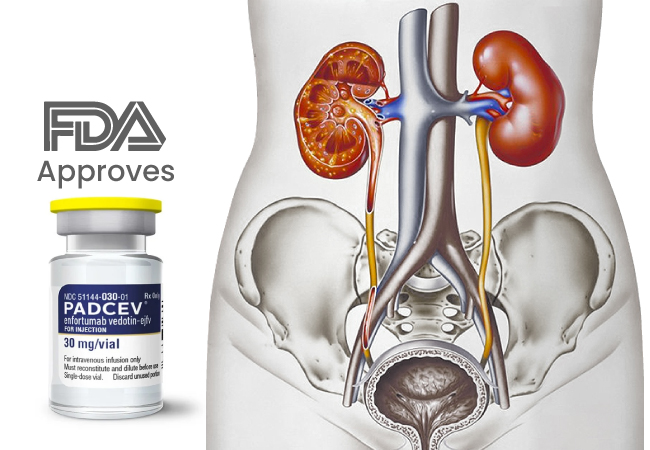 FDA Approves Padcev with Pembrolizumab for Urothelial Cancer