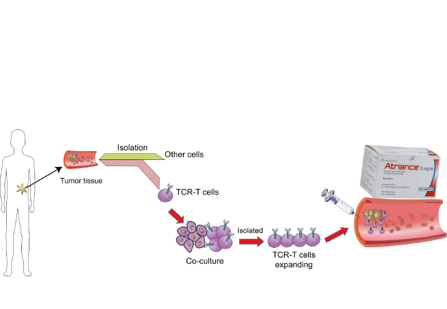 Atriance: Navigating the Landscape of T-Cell Disorders with Precision