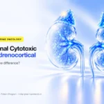 Adrenal cytotoxic vs adrenocortical – what's the difference – Indian Pharma Network