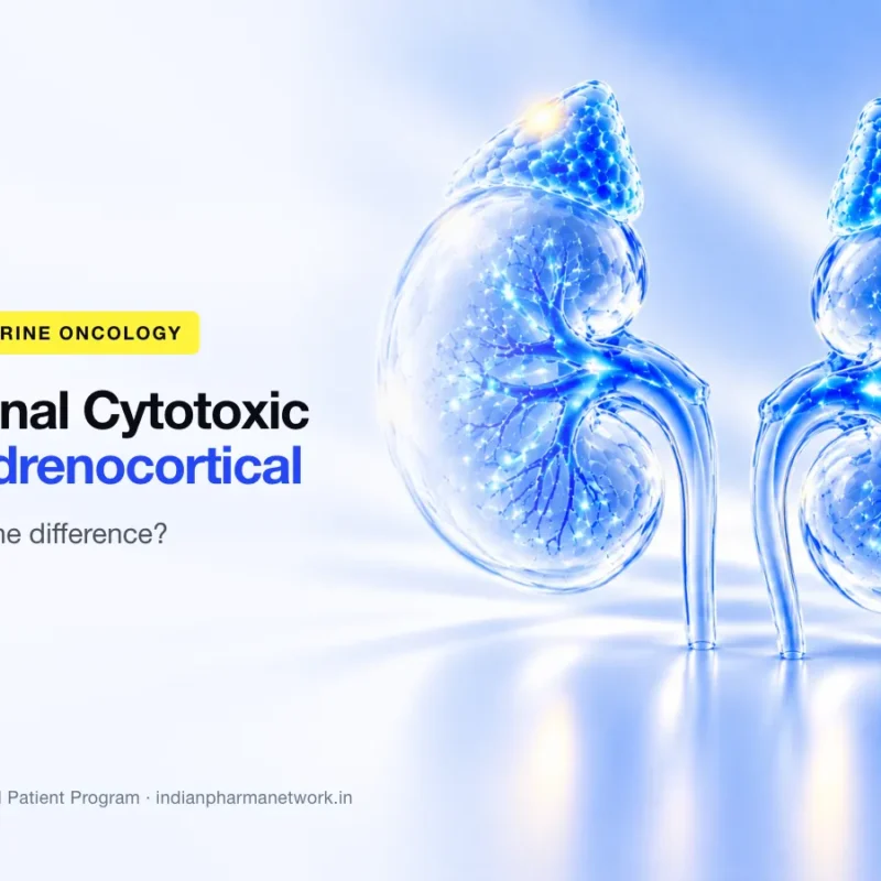 Adrenal cytotoxic vs adrenocortical – what's the difference – Indian Pharma Network
