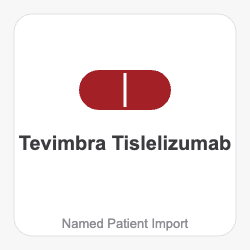 Tevimbra Tislelizumab - Named Patient Import